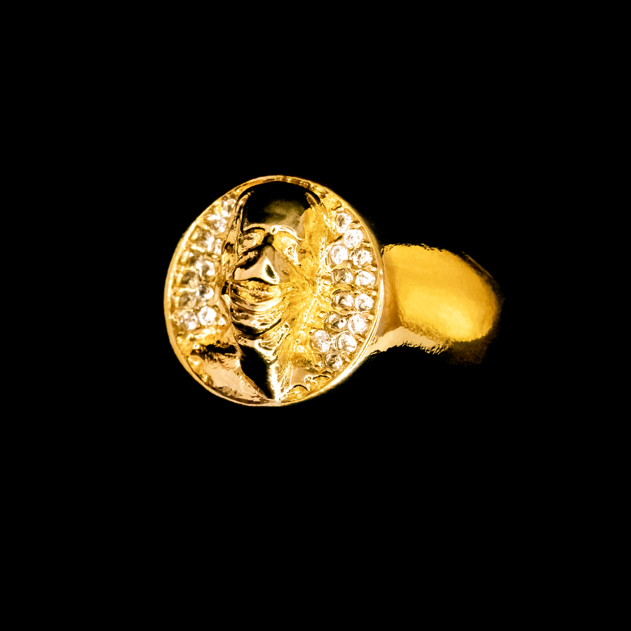 Anel Efiggie Dollar (Banhado a Ouro 18K)